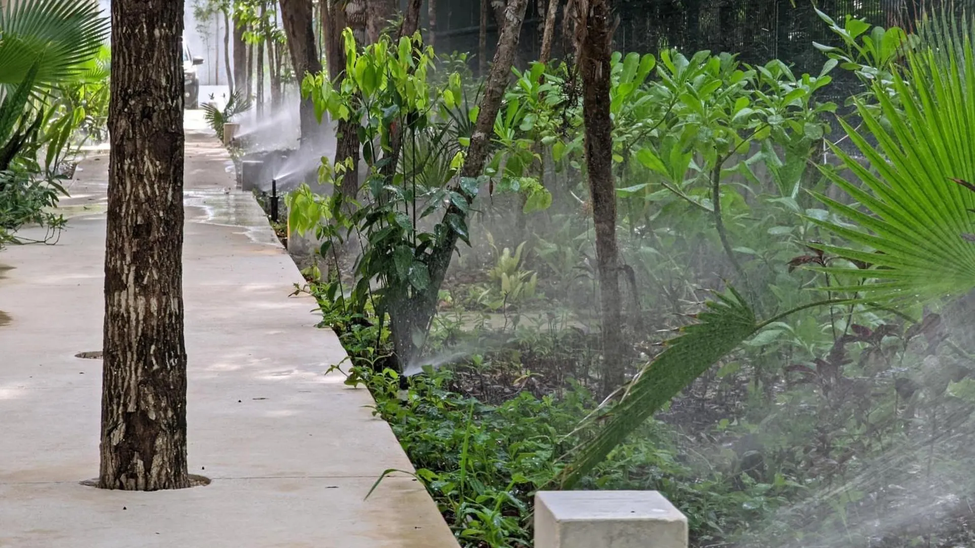 Tao Tulum - Fantastic Apartments In Jungle'S Heart - Top Amenities By Yeah Mexico